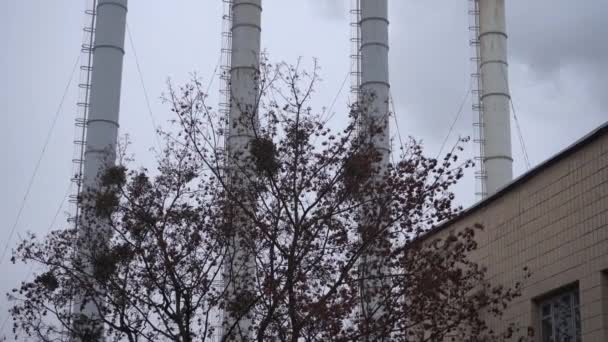 灰色の曇りの空を背景に煙工業用パイプ 灰色の空に対する植物の煙突から煙 環境汚染 地球温暖化大気汚染だ閉鎖 — ストック動画