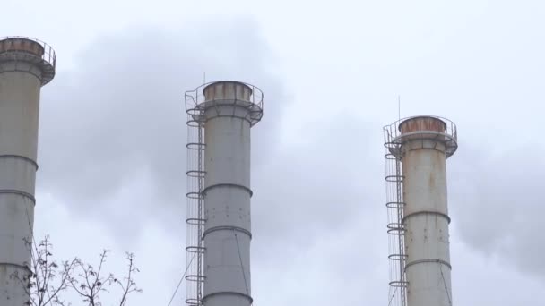 灰色の曇りの空を背景に煙工業用パイプ 灰色の空に対する植物の煙突から煙 環境汚染 地球温暖化大気汚染だ閉鎖 — ストック動画