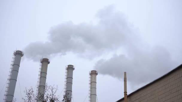 Fuma Pipas Industriales Sobre Fondo Cielo Gris Nublado Humo Las — Vídeos de Stock