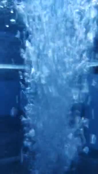 Stream Water Fills Bottle Bubbles Air Water Water Poured Bottle — Stock Video