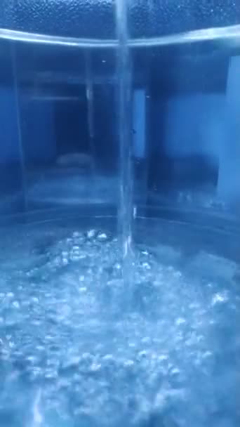 Поток Воды Наполняет Бутылку Пузырьки Воздуха Воде Вода Наливается Бутылку — стоковое видео