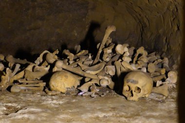 İnsan kemikleri ve kafatası bir mezarda.