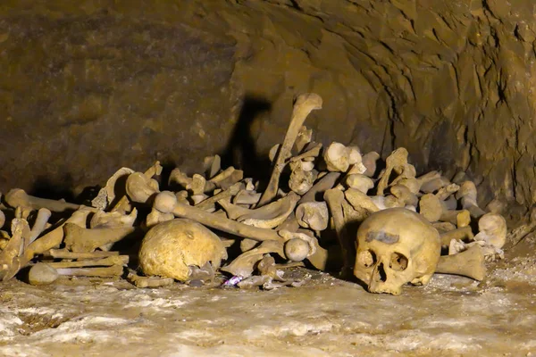 Menselijke botten en schedel in een graf. — Stockfoto