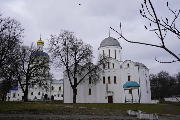 Chernihiv Ukraine February 2020 View Domes Church City View People — Stockfoto
