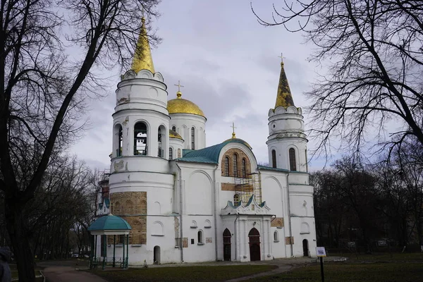 Chernihiv Ukraine February 2020 View Domes Church City View People — Stockfoto