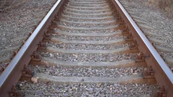 Eisenbahngleise Schienen Und Eisenbahnschwellen — Stockvideo