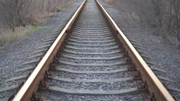 Järnvägsspår Räls Och Järnvägssliprar — Stockvideo