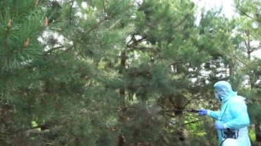 Koruyucu kabuklu biri özel bir kulübede Covid-19 'a karşı önlem olarak dezenfektan sıkar. Salgın ölçümleri. Virüse karşı antiseptik temizlik. Çam, böcek ilacı püskürtüyor.