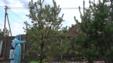 Koruyucu kabuklu biri özel bir kulübede Covid-19 'a karşı önlem olarak dezenfektan sıkar. Salgın ölçümleri. Virüse karşı antiseptik temizlik. Çam, böcek ilacı püskürtüyor.