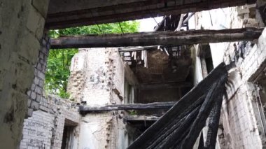 Ormanın içinde terk edilmiş eski bir ev. Evin yıkıntıları ağaçların arasında.