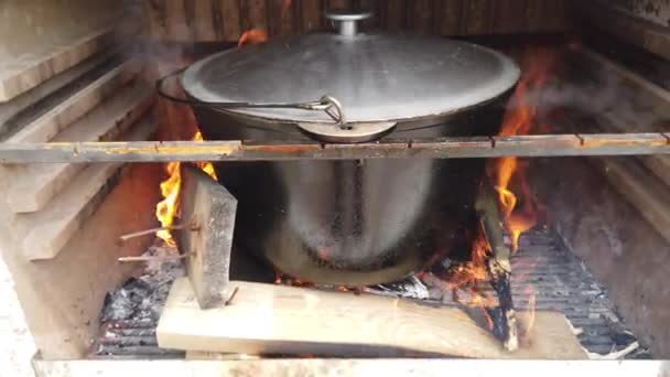 Ateşin Üstünde Bir Tencere Izgaradaki Ateşte Balık Çorbası Pişirmek — Stok video