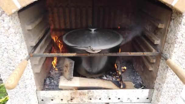 火の上の鍋 グリルで火に魚のスープを調理 — ストック動画