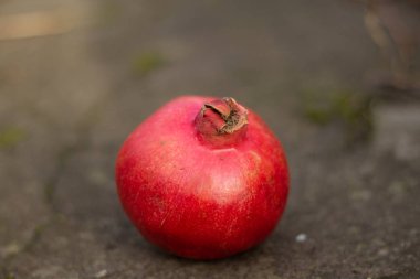 Açık havada olgun narların fotoğrafı.