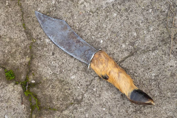Охотничий Нож Рукояткой Копыта Природе — стоковое фото