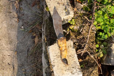 Toynak saplı av bıçağı.