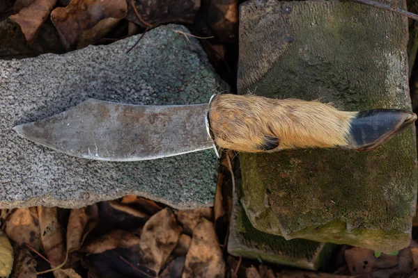 Охотничий Нож Рукояткой Копыта Природе — стоковое фото
