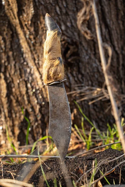 自然の中で柄のある狩猟ナイフ — ストック写真