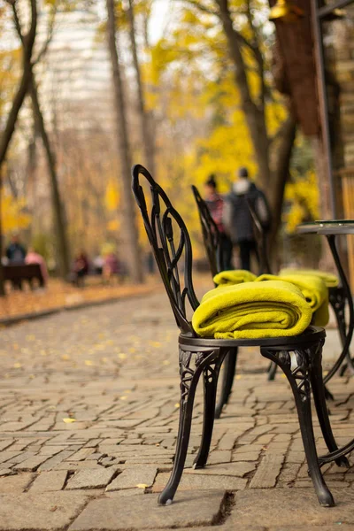 Silla Forjada Con Una Manta Parque Otoño Cerca Cafetería — Foto de Stock