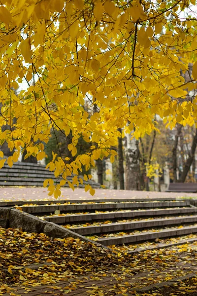 Escalera Ciudad Dnipro Parque Temporada Otoño — Foto de Stock