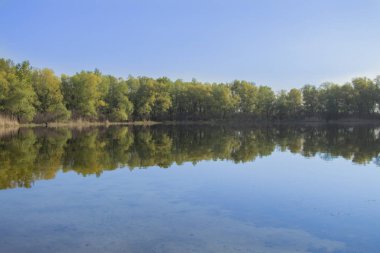 Ukrayna 'daki Dinyeper Nehri kıyısında sonbahar ormanı