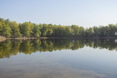 Ukrayna 'daki Dinyeper Nehri kıyısında sonbahar ormanı
