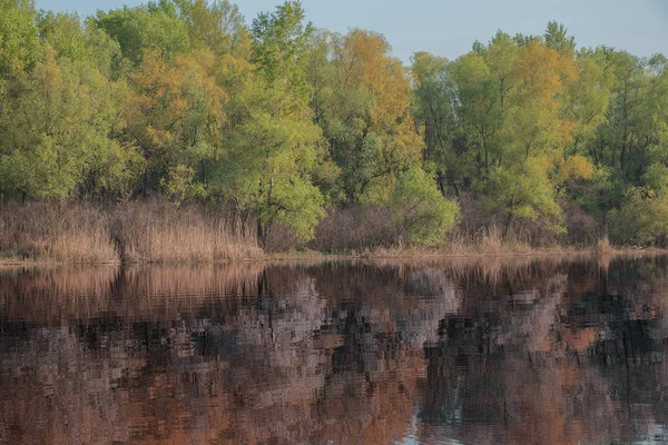 우크라이나 드네프르강 — 스톡 사진
