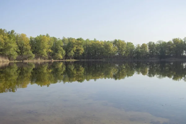 Floresta Outono Longo Das Margens Rio Dnieper Ucrânia — Fotografia de Stock