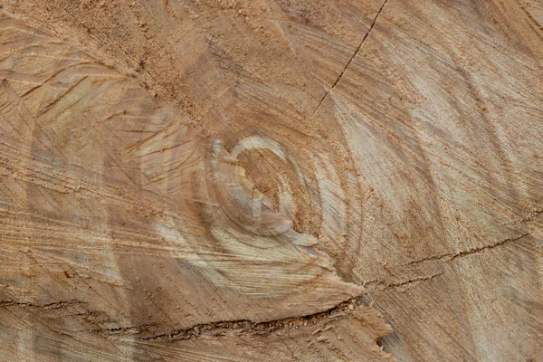 Nahaufnahme Eines Holzschnitts — Stockfoto