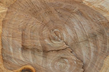 Tahta bir kesiğin yakın çekimi.