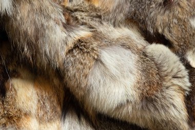 kürk arkaplanı kapat