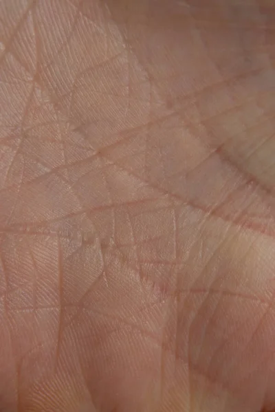 Human skin closeup macro photo — Stock Photo, Image