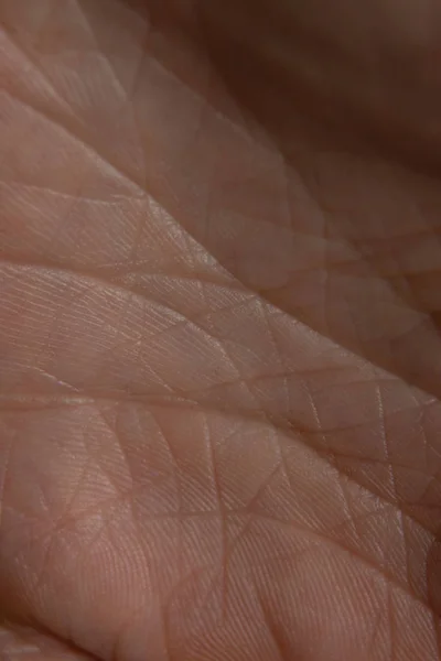 Emberi bőr közelkép makró fotó — Stock Fotó