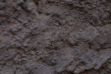 Arka plan olarak eski taş bir ev duvarı.