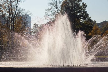 Güneşli bir günde Dinyeper şehir parkında faal bir çeşme