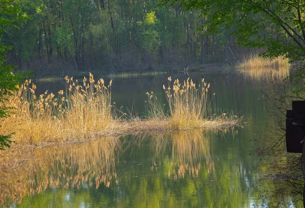 Rio Dnieper na floresta em um dia ensolarado de outono na cidade o — Fotografia de Stock