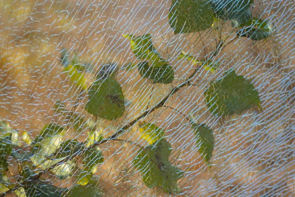 Fond de clôture en verre cassé sur la rue — Photo