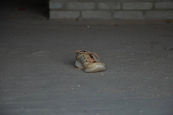 one dirty sneaker licks on the floor of an abandoned hotel building in Egypt