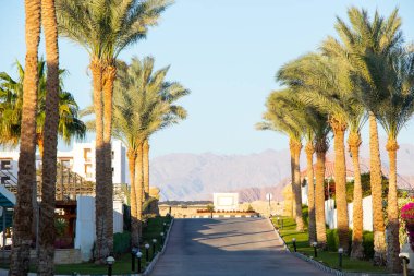 Sharm el Sheikh city in December on a sunny day