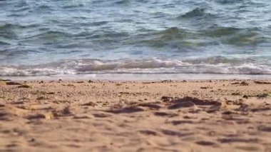 Güneşli bir günde Mısır kıyılarında dalgalar Sharm el Sheikh 'de