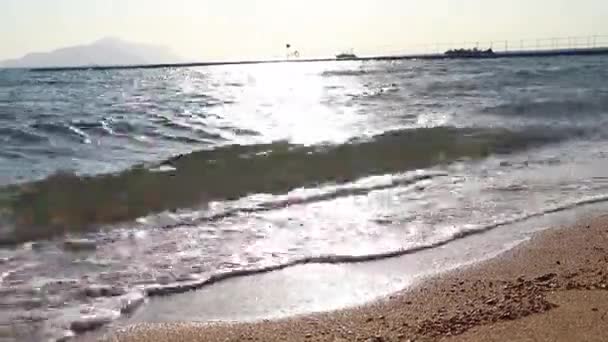 Güneşli Bir Günde Mısır Kıyılarında Dalgalar Sharm Sheikh — Stok video
