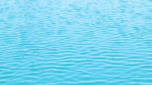 Güneşli Bir Günde Arka Plan Olarak Kızıl Deniz — Stok video