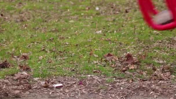 Columpio Vacío Los Parques Mañana Otoño — Vídeos de Stock