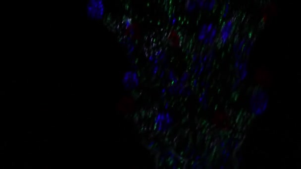 Arbre de Noël en guirlandes se reflète dans une flaque d'eau sur la route la nuit 