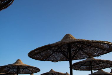 Güneşli bir günde Mısır 'da bir otel kumsalında hasır şemsiye.
