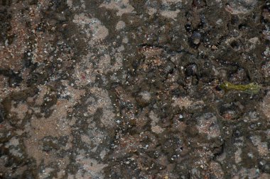 Doğal taş arka plan yakın çekim