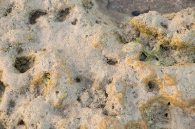 Doğal taş arka plan yakın çekim