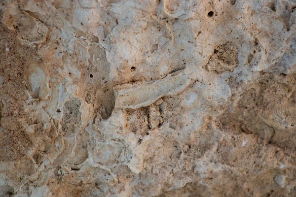 Fondo de piedra natural de cerca — Foto de Stock