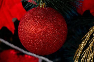 Dinyeper şehrindeki bir parkta Noel ağacı