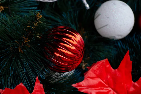 Kerstboom in een park in de stad Dnjepr — Stockfoto