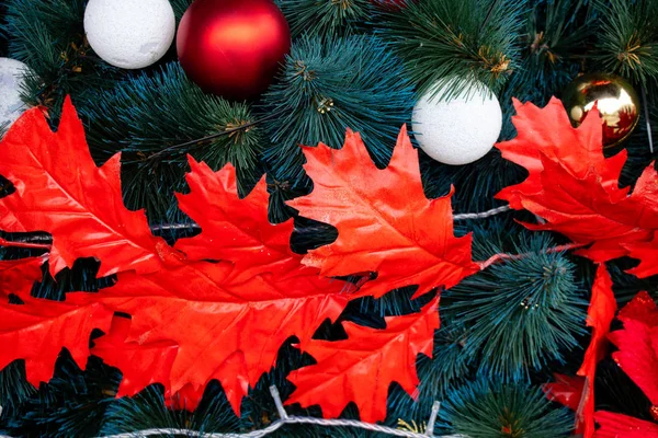 Kerstboom in een park in de stad Dnjepr — Stockfoto